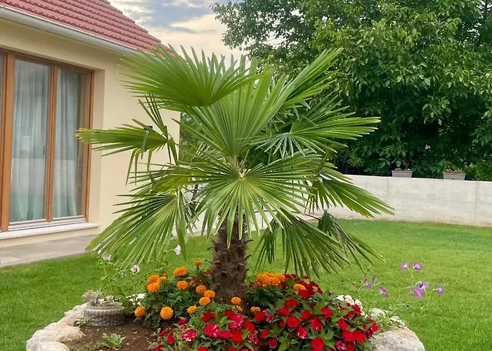 Leon - Imotski - Makarska